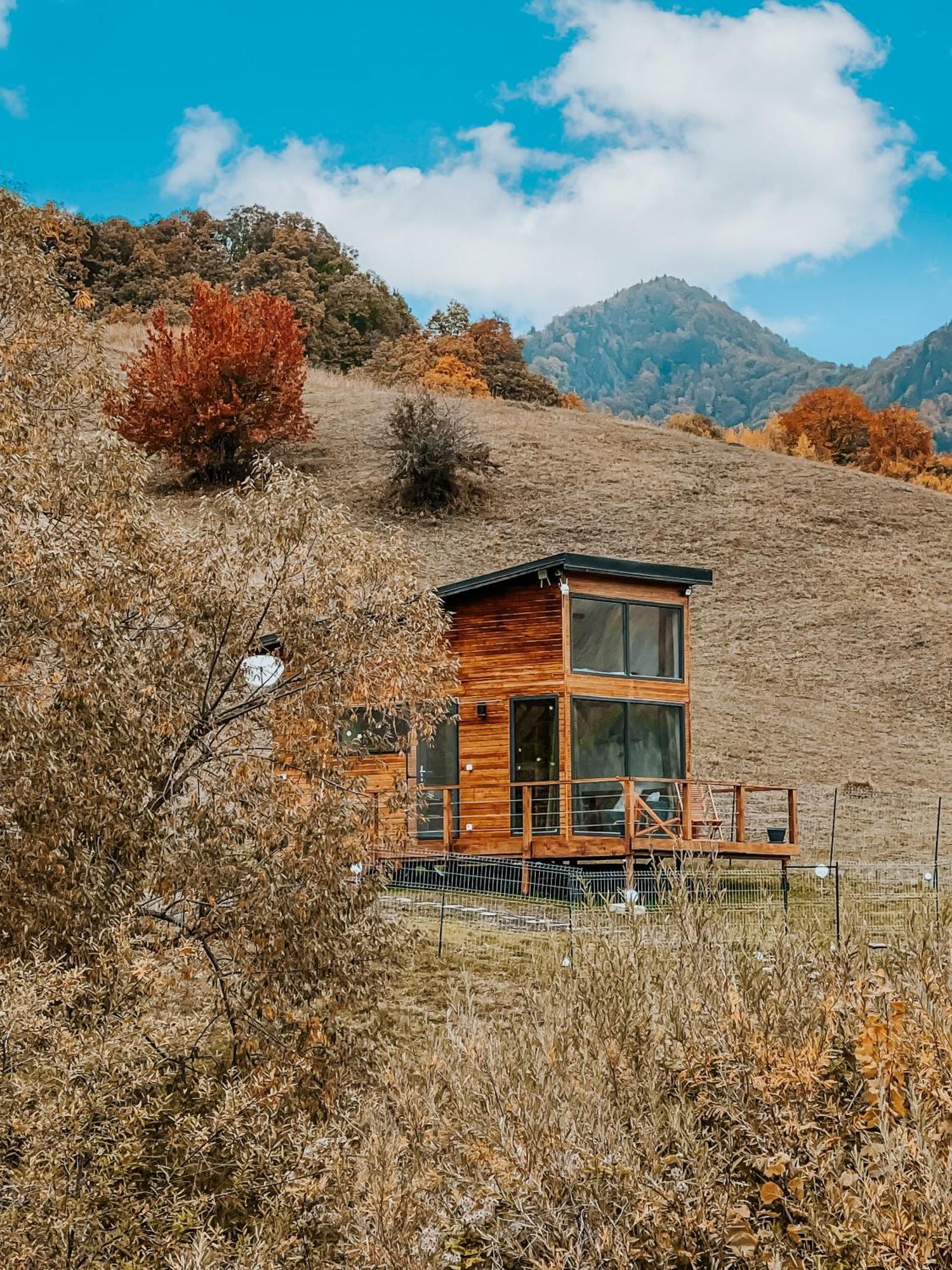 Roua By Noratlas Heritage - Adults Only Buzau Exterior foto
